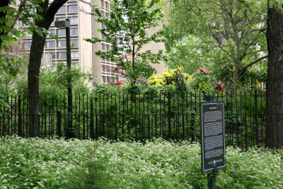 Time Landscape & 505 LaGuardia Place Gardens