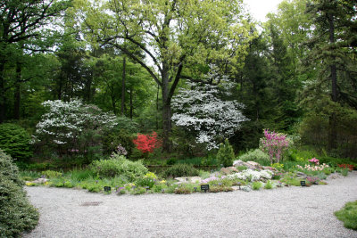 Native Plants Garden - New York Botanical Gardens