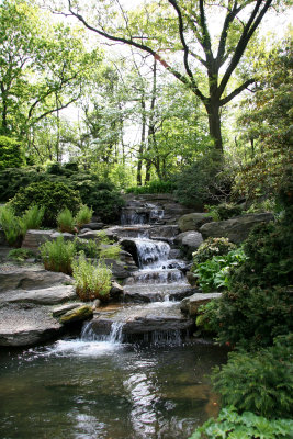 Rock Garden - New York Botanical Gardens