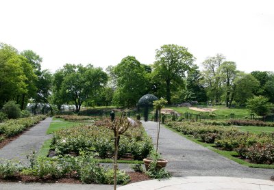 Rose Garden & Roses - New York Botanical Gardens