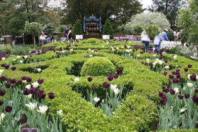 Tulips & Boxwood - Perennial Conservatory Garden