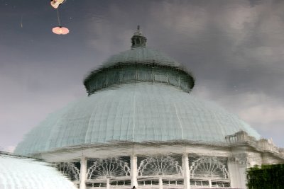 Conservatory Dome Reflection in the Water Lily Pool