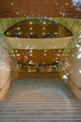 NYU Student Center Entrance Stairway to the Stars with Park Reflections