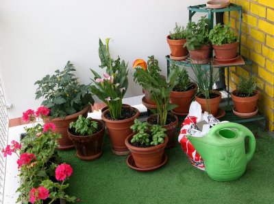 Apartment Terrace Gardening