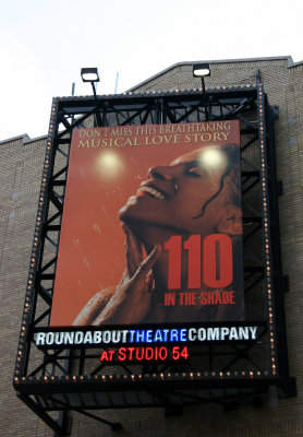 Audra McDonald in 110 In the Shade - Roundabout Theatre Company at Studio 54