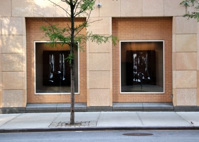 Gallery Hopping - NYU Student Center Window Galleries