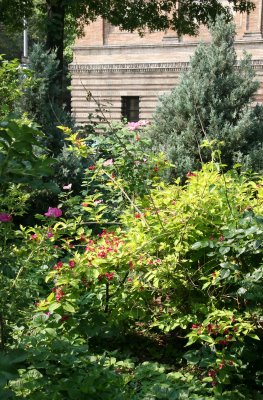 Roses, Weigela, Juniper, etc.