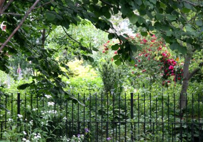 View of 505 LaGuardia Place Garden