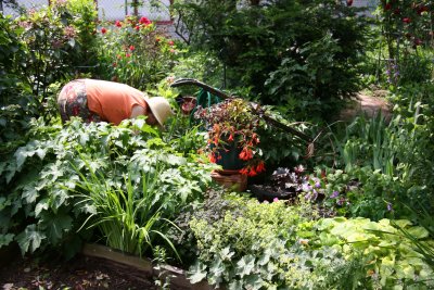 Tending a Garden Plot