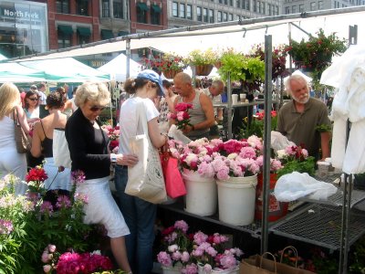 Flower Market View