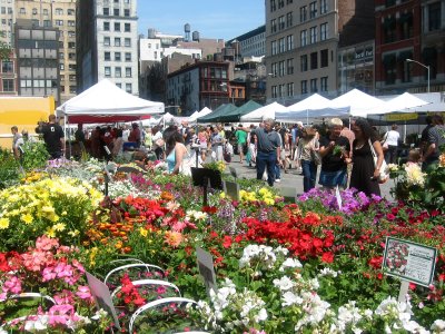 Flower Market View