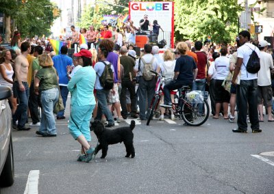 Gay Pride Parade 2007