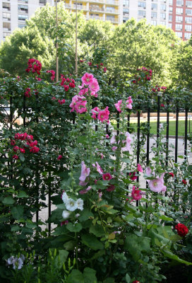 Garden View - Hollyhocks & Roses