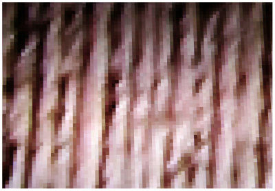 Pixeled Photo