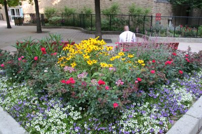 NYU Athletic Center Garden