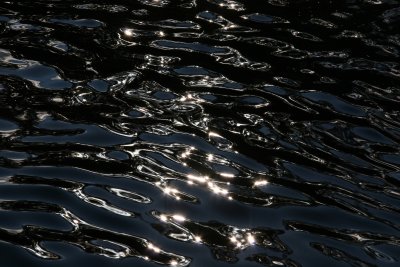 Fountain Pool Reflections