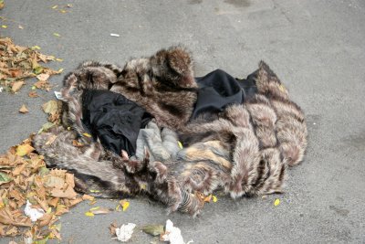 Discarded Fur Coat