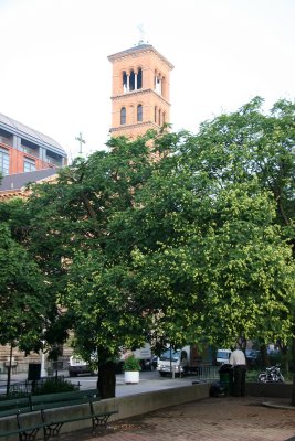 Golden Rain Tree & Judson Church Bell Tower