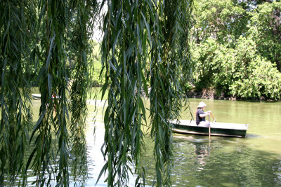 Summer - Central Park Lake