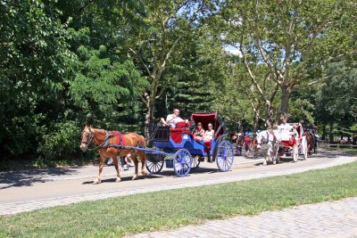 Horse Carriage Road