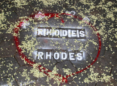 Tribute to RHODES with Fallen Scholar or Japanese Pagoda Tree Blossoms