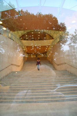 NYU Student Center Staircase with Washington Square Park Reflection