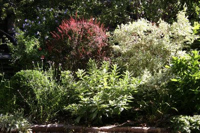 Residence Garden East of University Place