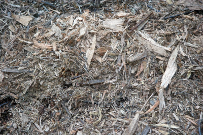 Compost Pile