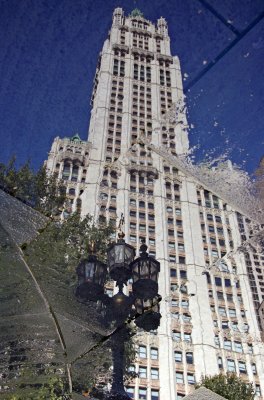 Woolworth Building Reflection in a Water Puddle - City Hall Park