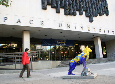 Pace University at Center Street