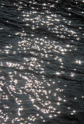 Sunlight on the Hudson River