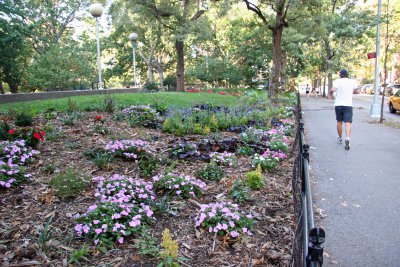 Washington Square North - Southwest View