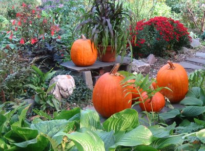 Fall Harvest