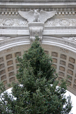 Christmas Tree at the Arch