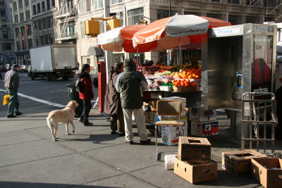 Fruit Stand Corner