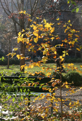 Gramercy Park Northside - Southwest View