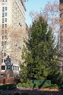 Christmas Tree - Southside of Gramercy Park