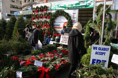 Farmers' Green Market - Shopping for Holiday Trimmings