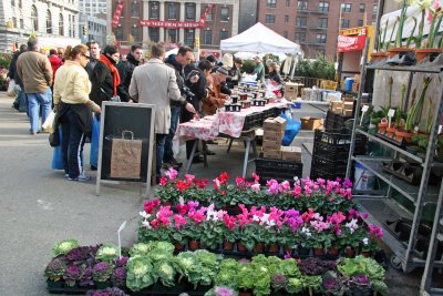 Farmers' Green Market - Shopping for Holiday Trimmings