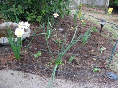 Shots of the gardens around the house in Columbia, SC