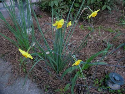 DSCN0881.jpg