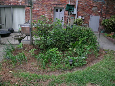 DSCN0886_042106.JPG