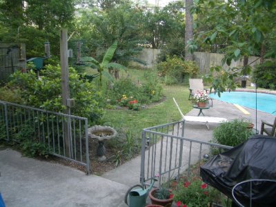IMGP3163.JPG