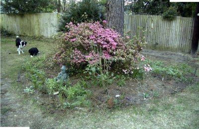 backyard1_040405.jpg