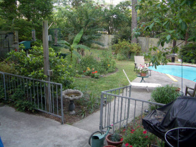 backyard2.jpg