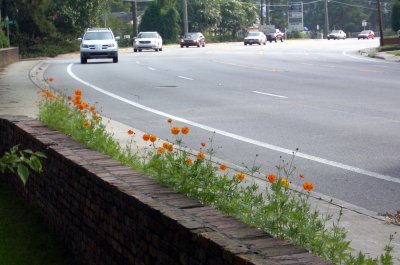 sidewalk2cosmos.jpg