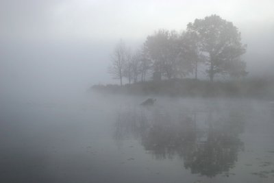 IMG_6662.JPG