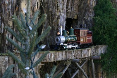 Miniature trains at the U.S. Botanic Garden.