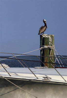 Islamorada.