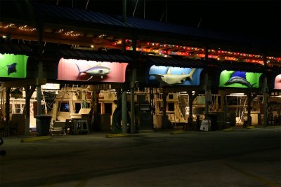 Fisherman's pier at night.